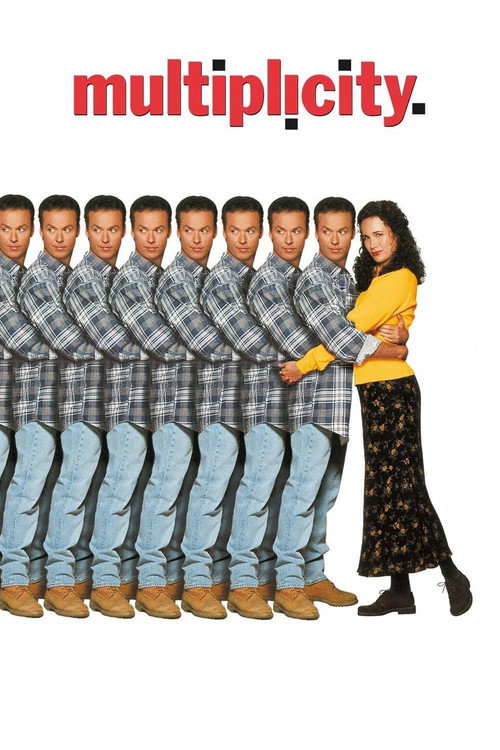 Poster van Multiplicity