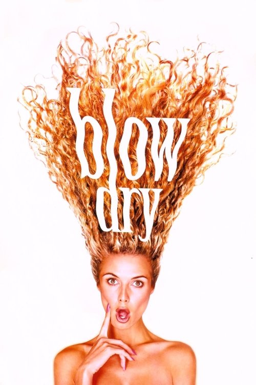 Poster van Blow Dry